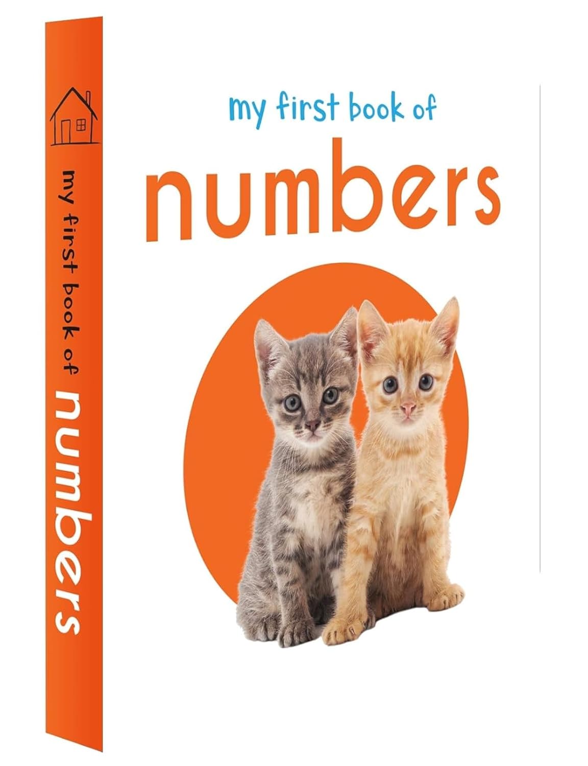 My First Library – 10 Board Book Set for Babies & Toddlers 0-3 | ABC, Numbers, Animals, Colors, Shapes, Vehicles